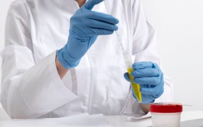 Stain Removal Science: Understanding Chemistry Behind Clean
