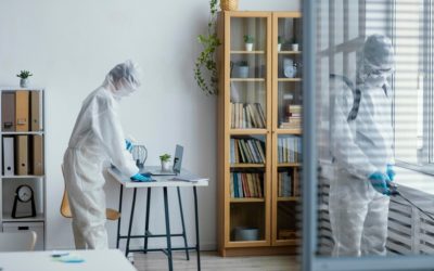 A Complete Guide to Disinfecting Your Home – Why, When & How